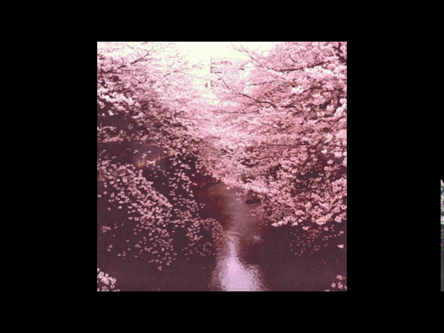 playlist cover 3 for Vsauce